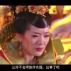 mywholeworld什么意思
